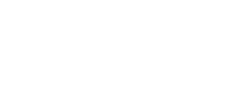 Huskies running wild